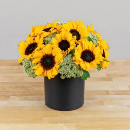 Box sun Flowers